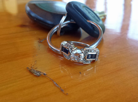 Lost Ring Found at Castle Rock Lake