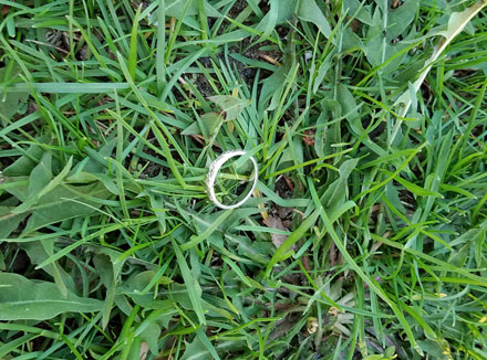 lost ring weeding my garden